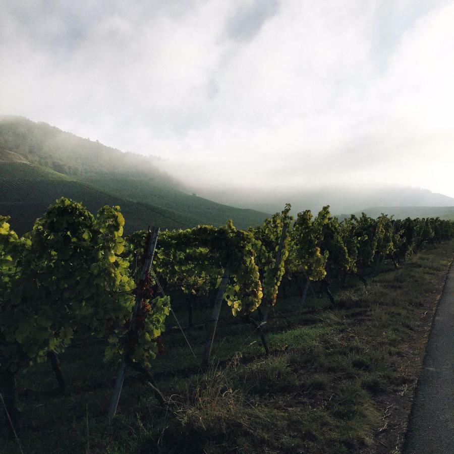 Weingut Weigand Gasthof 3*