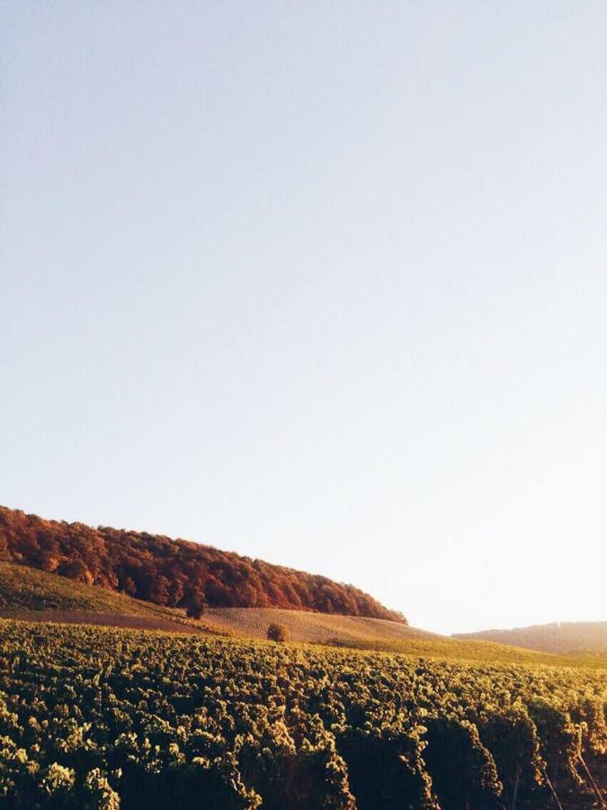 Weingut Weigand Iphofen